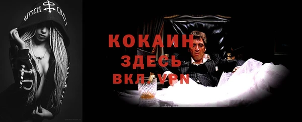 крисы Алзамай