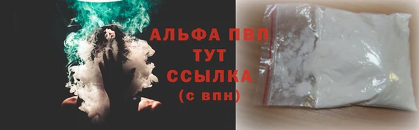 крисы Алзамай