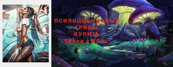 круглые Алексеевка