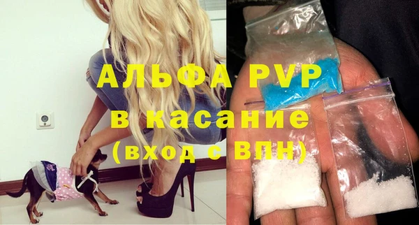 крисы Алзамай