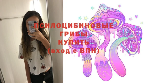 спиды Алексин