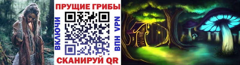 Галлюциногенные грибы мухоморы  Тверь 